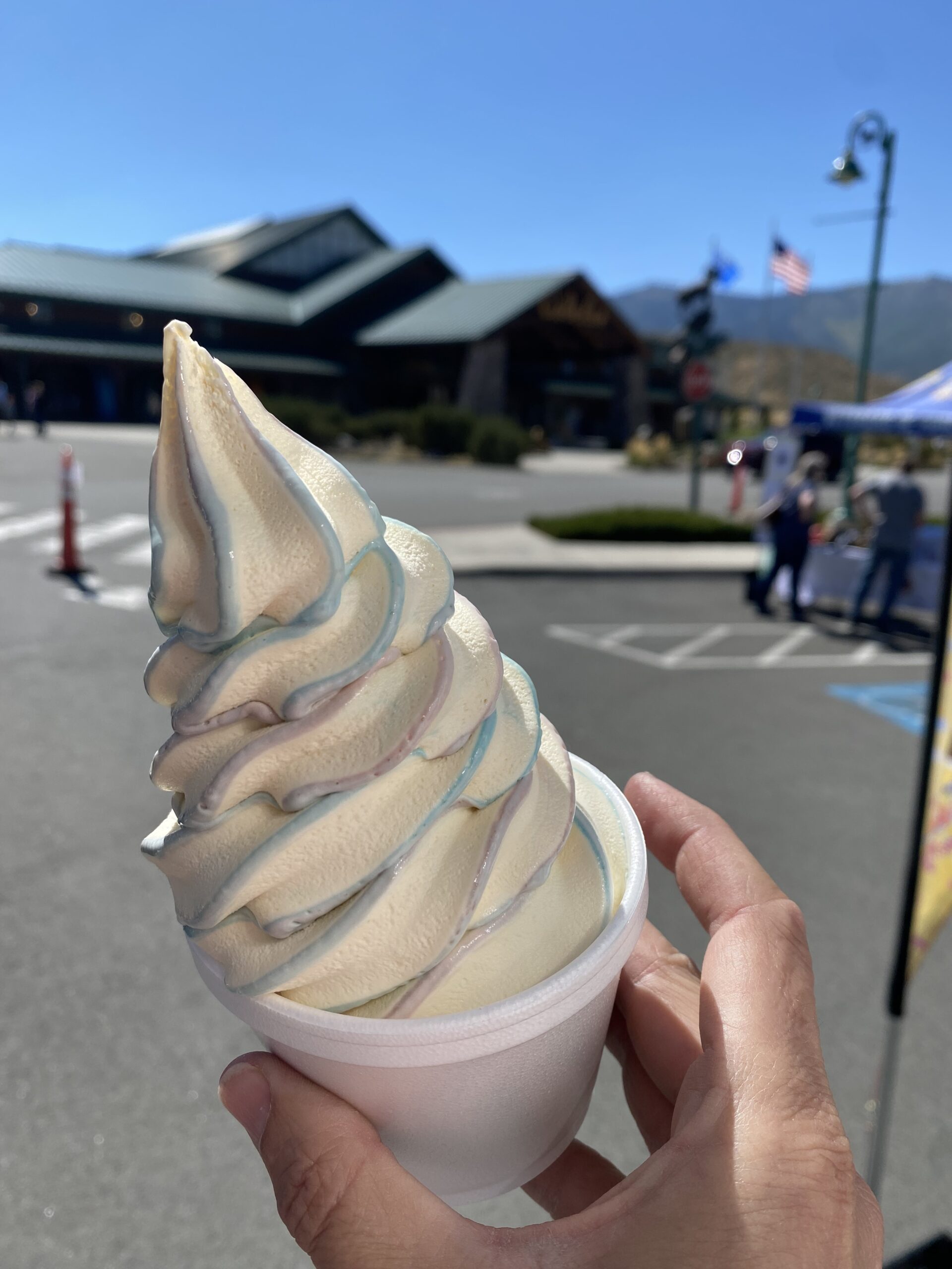 Sierra Swirl Soft Serve Ice Cream | Nevada Food Trucks